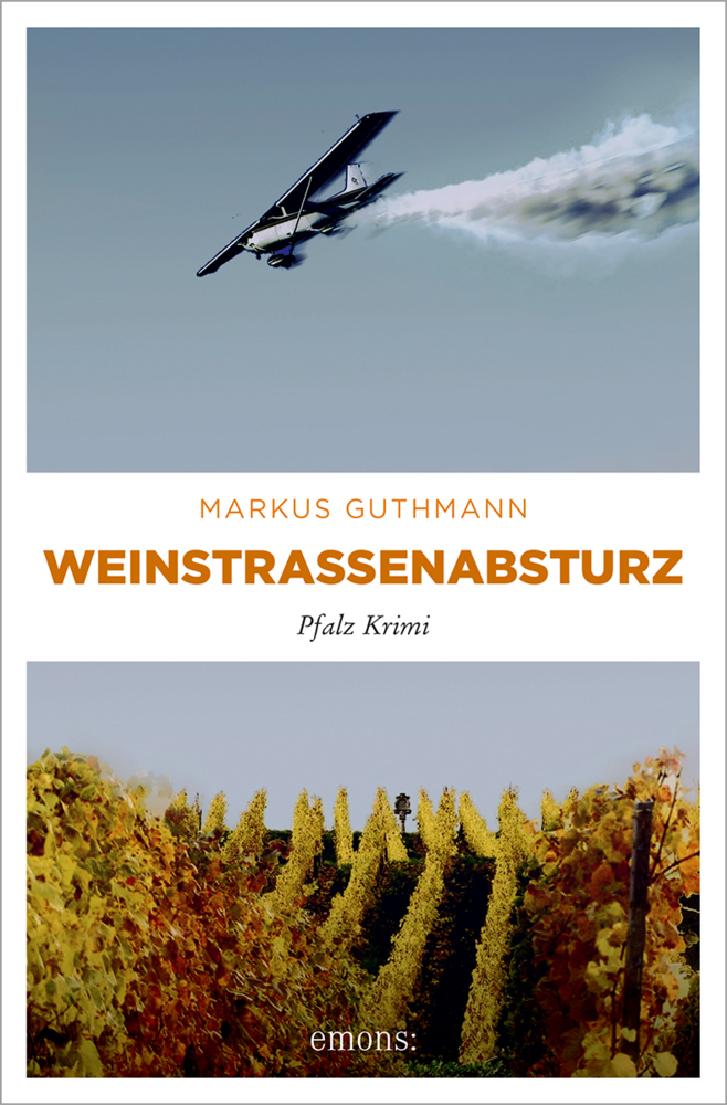Weinstraßenabsturz main product photo