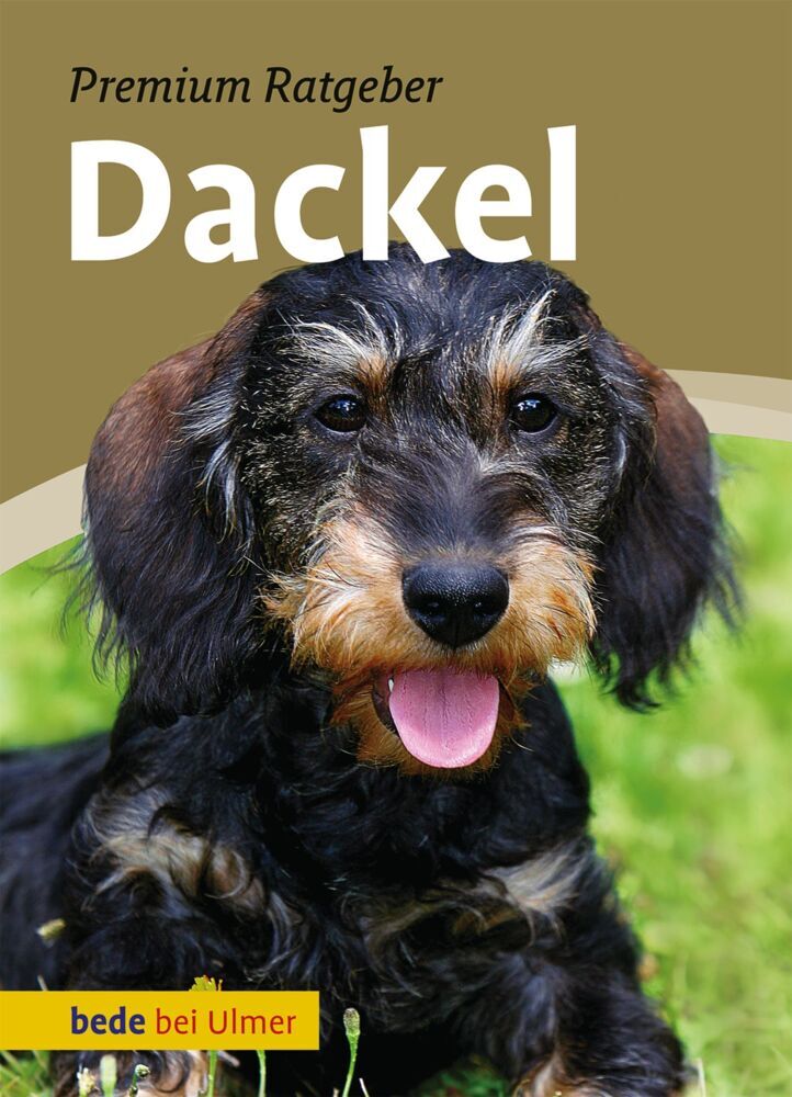 Dackel main product photo