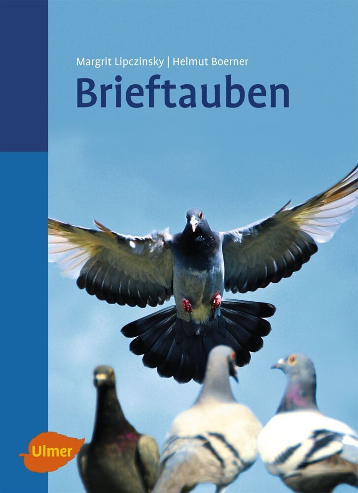 Brieftauben main product photo