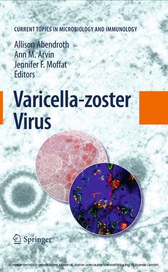 Varicella-zoster Virus main product photo