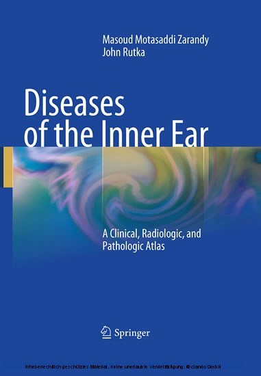 Diseases of the Inner Ear main product photo