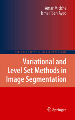 Variational and Level Set Methods in Image Segmentation