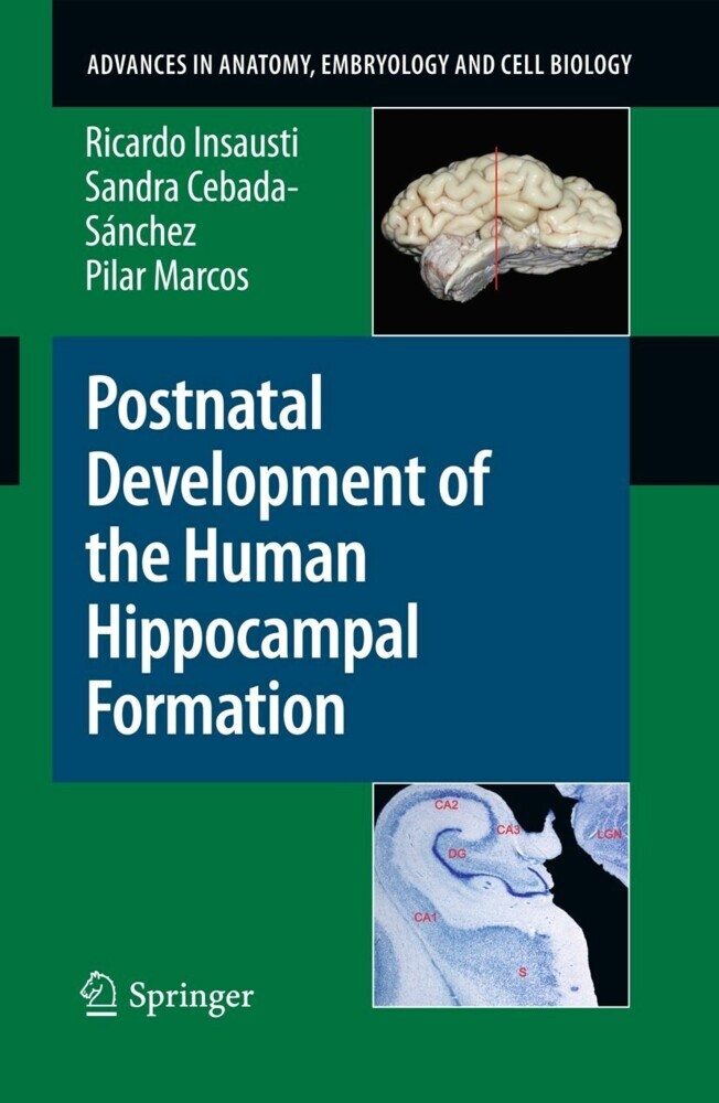 Postnatal Development of the Human Hippocampal Formation main product photo