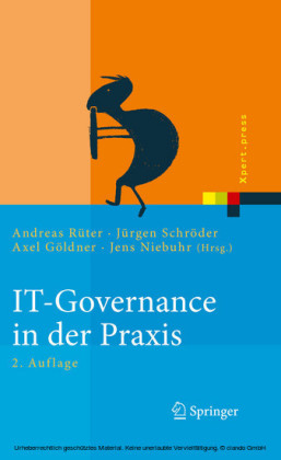 IT-Governance in der Praxis