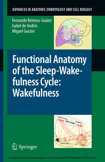 Functional Anatomy of the Sleep-Wakefulness Cycle: Wakefulness main product photo