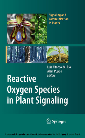 Reactive Oxygen Species in Plant Signaling main product photo