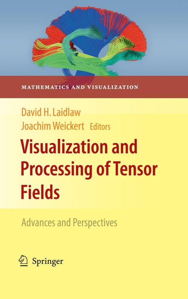 Visualization and Processing of Tensor Fields main product photo