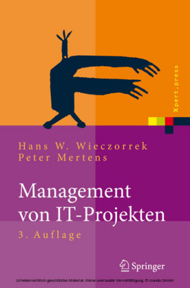 Management von IT-Projekten