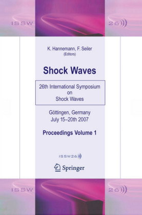 Shock Waves. Vol.1