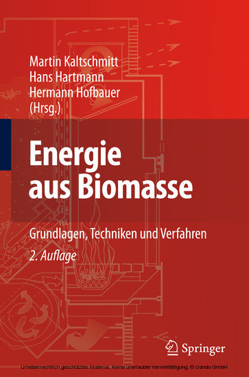 Energie aus Biomasse main product photo