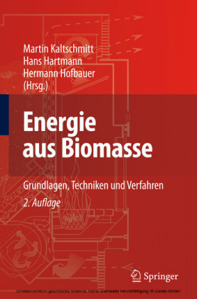 Energie aus Biomasse