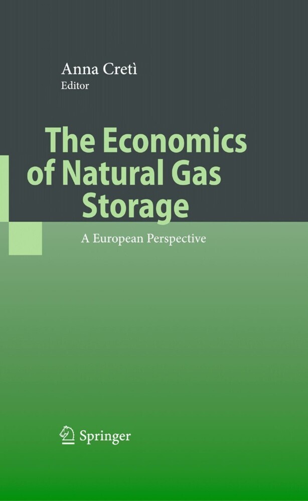 The Economics of Natural Gas Storage main product photo