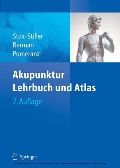 Akupunktur main product photo