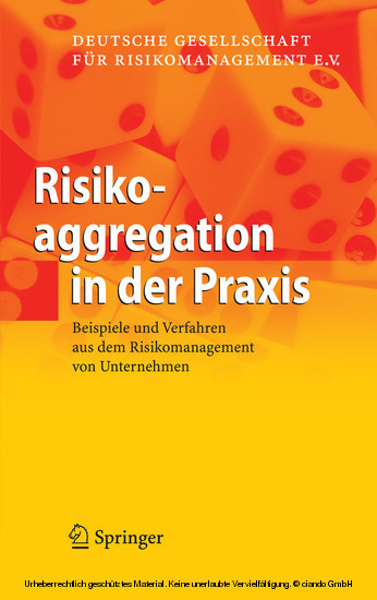 Risikoaggregation in der Praxis main product photo