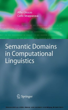 Semantic Domains in Computational Linguistics