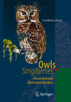 Owls (Strigiformes)