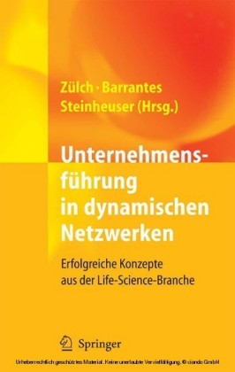 Unternehmensführung in dynamischen Netzwerken