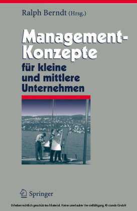Management-Konzepte für kleine und mittlere Unternehmen