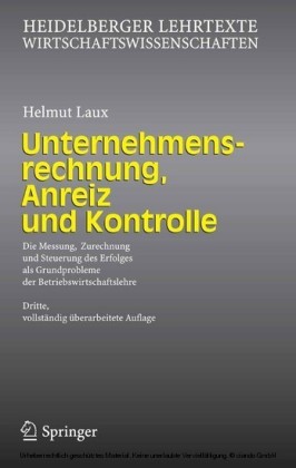Unternehmensrechnung, Anreiz und Kontrolle