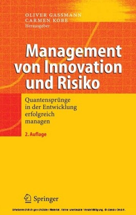 Management von Innovation und Risiko