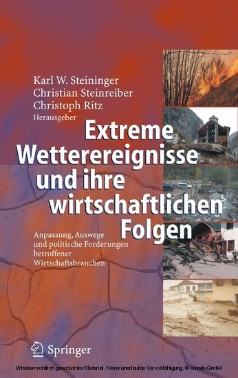 Extreme Wetterereignisse und ihre wirtschaftlichen Folgen main product photo