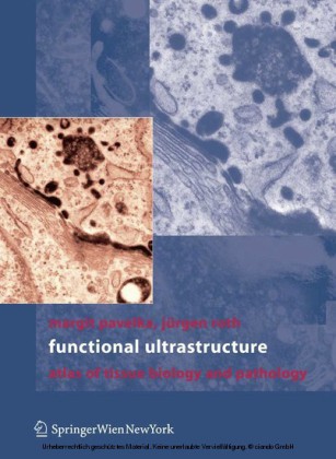 Functional Ultrastructure