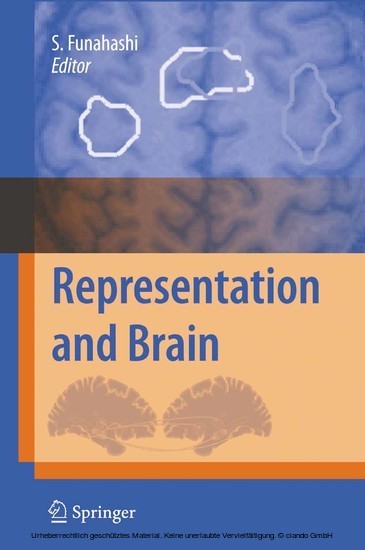 Representation and Brain main product photo
