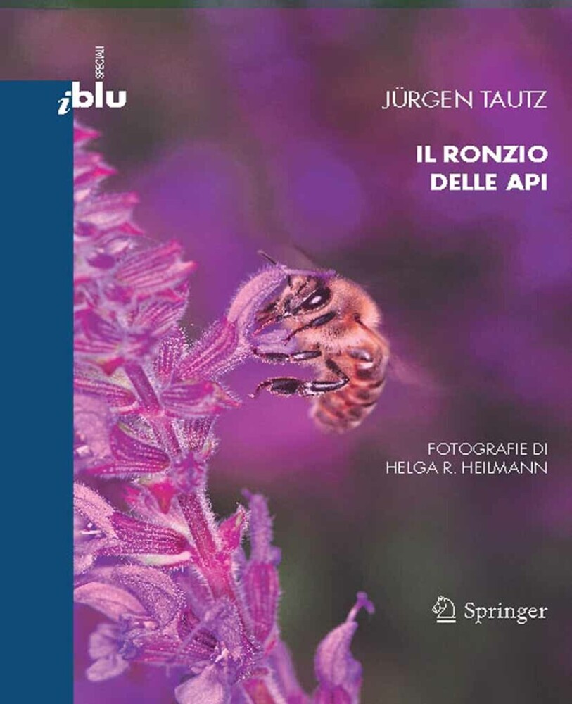 Il ronzio delle api main product photo