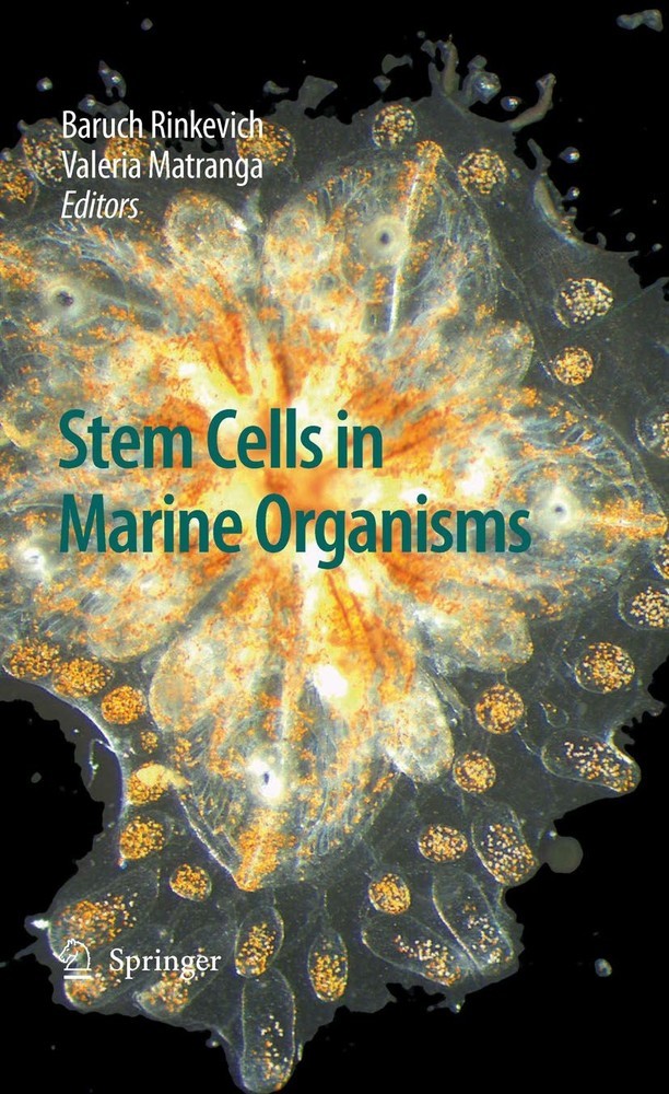 Stem Cells in Marine Organisms main product photo