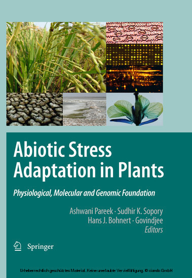 Abiotic Stress Adaptation in Plants main product photo