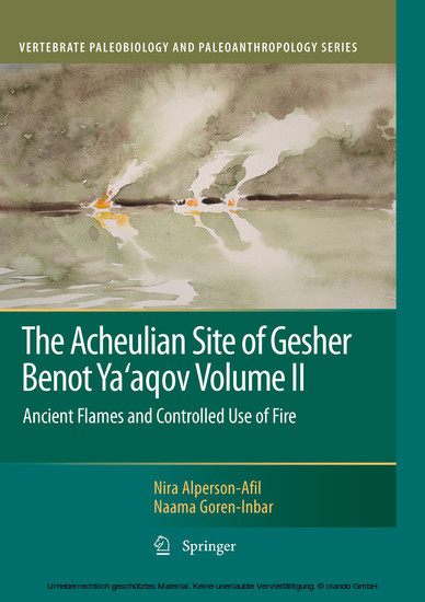 The Acheulian Site of Gesher Benot Ya'aqov Volume II. Vol.2 main product photo