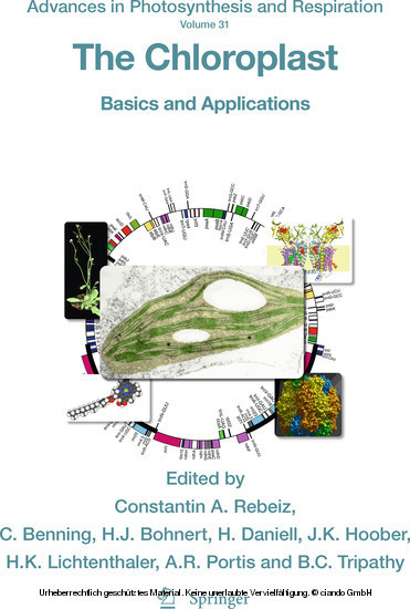 The Chloroplast main product photo