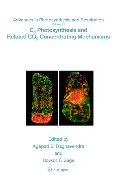 C4 Photosynthesis and Related CO2 Concentrating Mechanisms main product photo