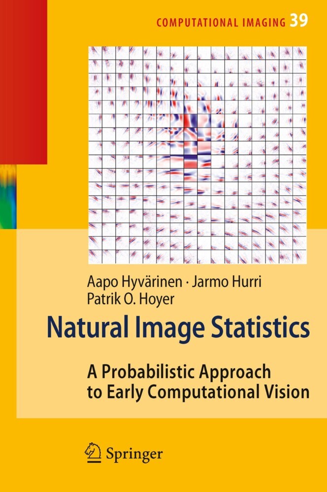 Natural Image Statistics main product photo