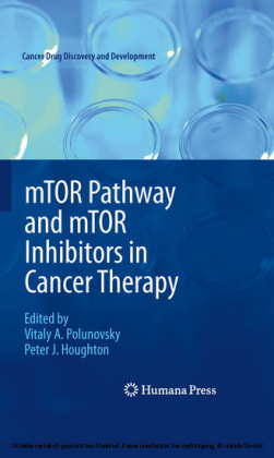 mTOR Pathway and mTOR Inhibitors in Cancer Therapy
