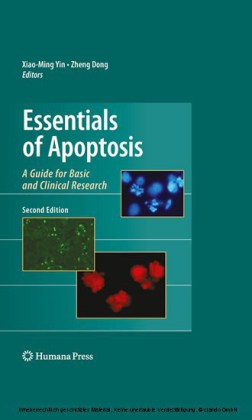 Essentials of Apoptosis