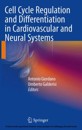 Cell Cycle Regulation and Differentiation in Cardiovascular and Neural Systems