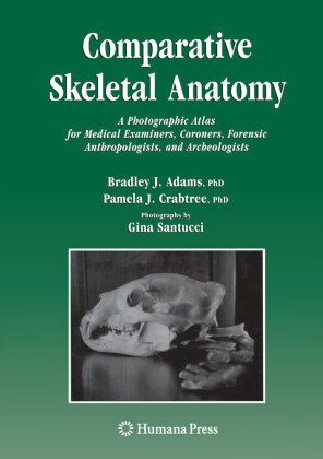 Comparative Skeletal Anatomy