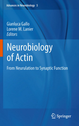 Neurobiology of Actin