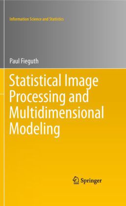 Statistical Image Processing and Multidimensional Modeling
