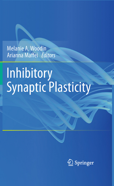 Inhibitory Synaptic Plasticity main product photo