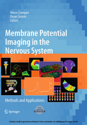 Membrane Potential Imaging in the Nervous System