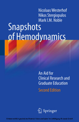 Snapshots of Hemodynamics