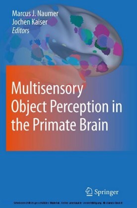 Multisensory Object Perception in the Primate Brain