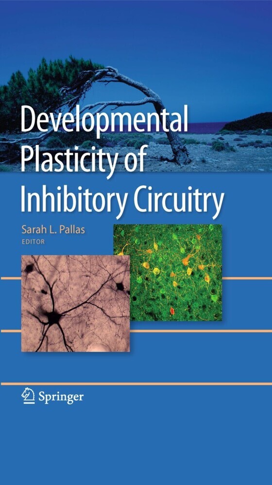 Developmental Plasticity of Inhibitory Circuitry main product photo
