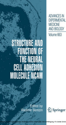 Structure and Function of the Neural Cell Adhesion Molecule NCAM