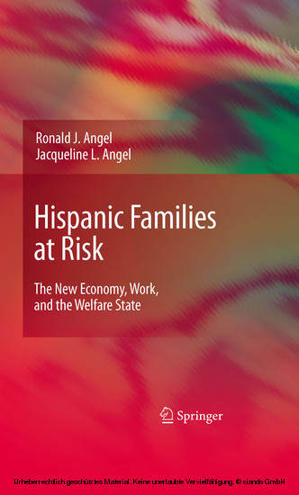 Hispanic Families at Risk main product photo