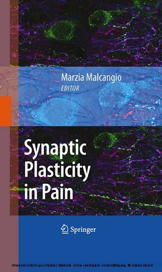 Synaptic Plasticity in Pain main product photo