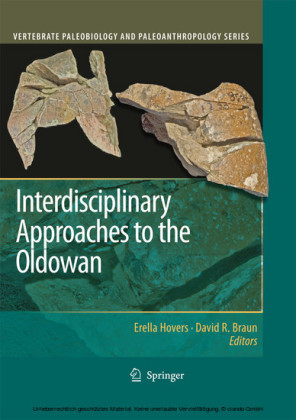 Interdisciplinary Approaches to the Oldowan