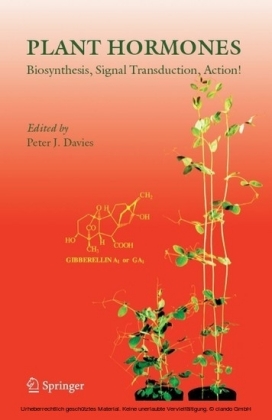 Plant Hormones